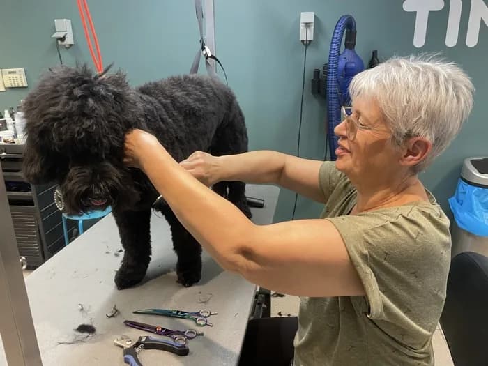 Een baasje borstelt haar Doodle tijdens een workshop