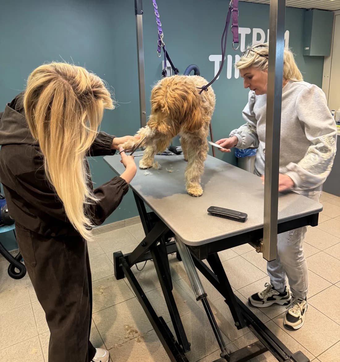 Twee baasjes trimmen samen hun hond aan de trimtafel